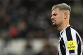 Newcastle United's Brazilian midfielder Bruno Guimaraes reacts as he leaves the pitch after receiving a red card during the English League Cup semi final football match between Newcastle United and Southampton at St James's Park stadium in Newcastle, on January 31, 2023. (Photo by PAUL ELLIS/AFP via Getty Images)