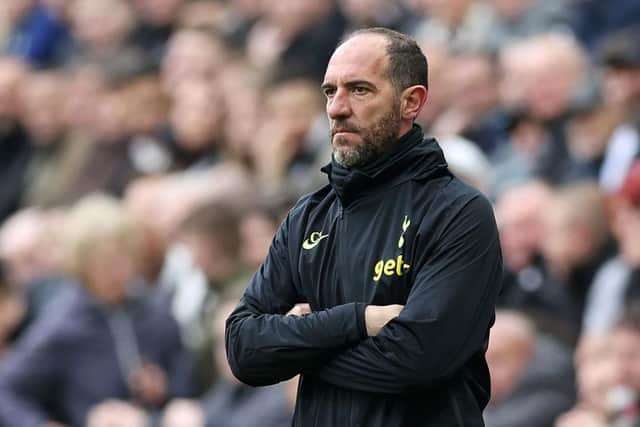 Tottenham Hotspur interim manager Cristian Stellini looks on at St James' Park.