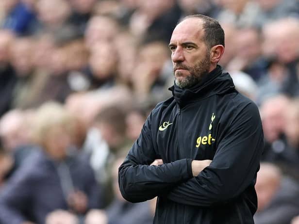 Tottenham Hotspur interim manager Cristian Stellini looks on at St James' Park.