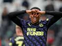 Joe Willock celebrates his goal against Fulham.