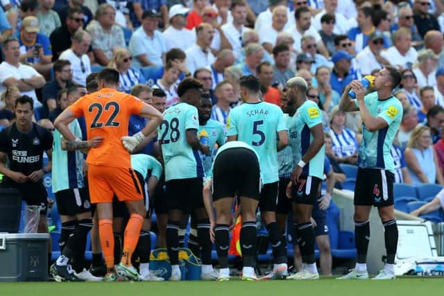 Newcastle United players take on water during a break in the Premier League match between Brighton & Hove Albion and Newcastle United (Photo by Steve Bardens/Getty Images)
