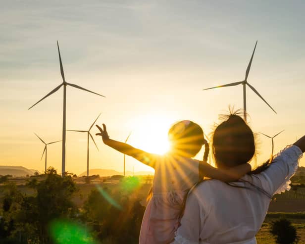 Wind turbines are alternative electricity sources