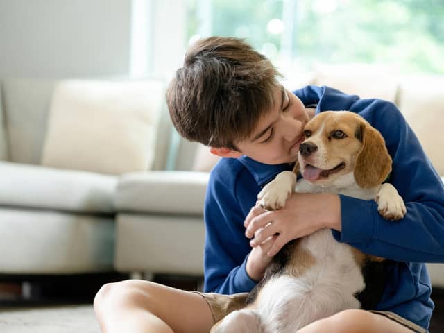 These are 10 of the most child-friendly breeds of dogs.