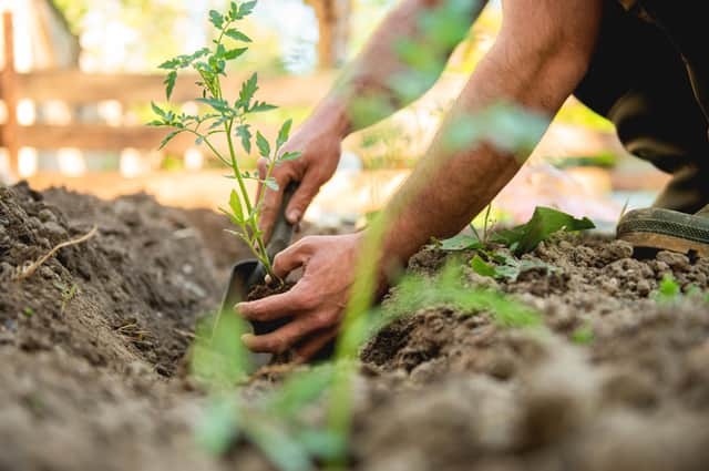 As the temperatures drop and the first frosts appear, green-thumbed Brits have been urged to prepare their gardens for winter with these top 10 gardening jobs for November.