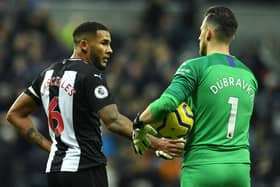 NEWCASTLE UPON TYNE, ENGLAND - FEBRUARY 01: Jamaal Lascelles of Newcastle United with team mate Martin Dubravka at the final whistle during the Premier League match between Newcastle United and Norwich City at St. James Park on February 01, 2020 in Newcastle upon Tyne, United Kingdom. (Photo by Mark Runnacles/Getty Images)