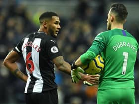 NEWCASTLE UPON TYNE, ENGLAND - FEBRUARY 01: Jamaal Lascelles of Newcastle United with team mate Martin Dubravka at the final whistle during the Premier League match between Newcastle United and Norwich City at St. James Park on February 01, 2020 in Newcastle upon Tyne, United Kingdom. (Photo by Mark Runnacles/Getty Images)