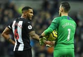 NEWCASTLE UPON TYNE, ENGLAND - FEBRUARY 01: Jamaal Lascelles of Newcastle United with team mate Martin Dubravka at the final whistle during the Premier League match between Newcastle United and Norwich City at St. James Park on February 01, 2020 in Newcastle upon Tyne, United Kingdom. (Photo by Mark Runnacles/Getty Images)