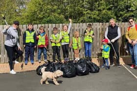 An amazing team of volunteers will be at Pelaw Quarry Pond this Saturday.
