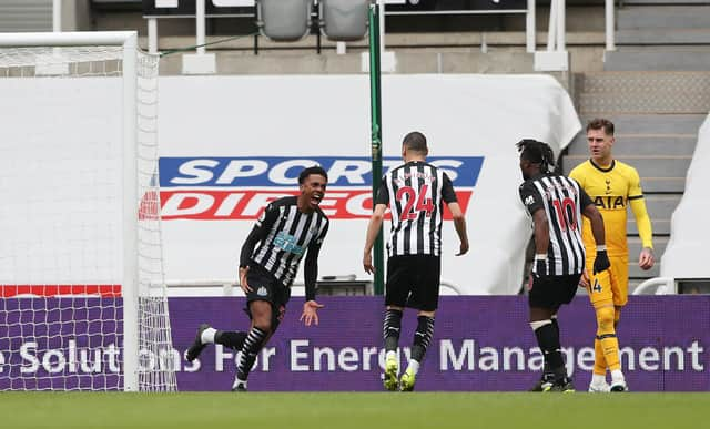 Mark Lawrence makes Newcastle United manager plea plus scoreline tip ahead of Spurs clash