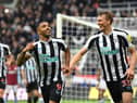 Shay Given has tipped both Callum Wilson and Dan Burn to force themselves into Gareth Southgate's World Cup squad (Photo by Stu Forster/Getty Images)