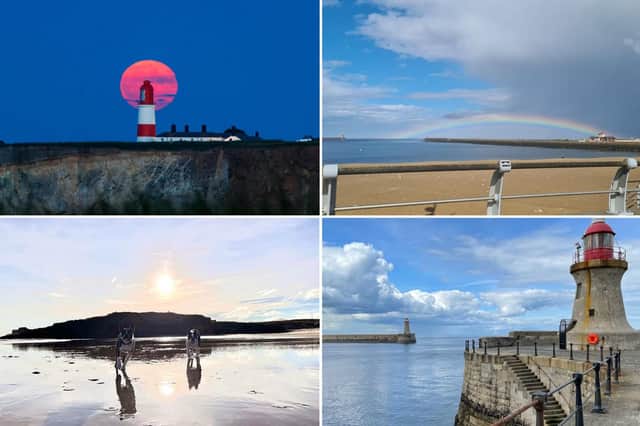 Readers have been sharing some of the best pictures they've taken in and around South Tyneside.