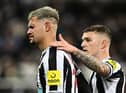 Newcastle United's Bruno Guimaraes leaves the pitch after his dismissal.
