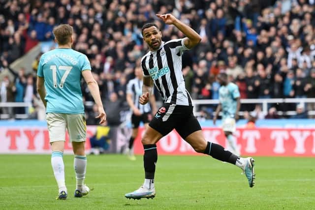 Callum Wilson of Newcastle United celebrates after scoring the team's first goal during the Premier League match between Newcastle United and Southampton FC at St. James Park on April 30, 2023 in Newcastle upon Tyne, England. (Photo by Stu Forster/Getty Images)