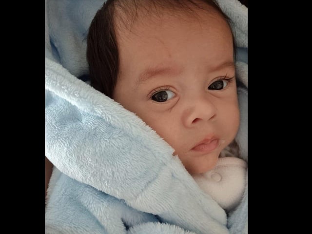 Four-month-old Theodore. Picture: Jaziara Hancox