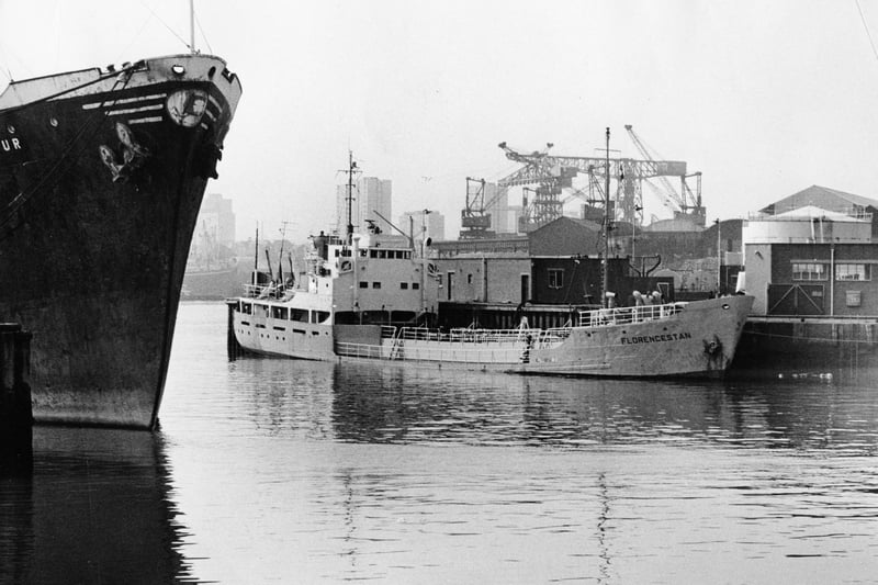 The Florencestan is pictured in the North Dock in 1966. Photo: Bill Hawkins.