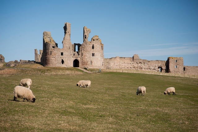 Built on the most magnificent scale, Dunstanburgh Castle stands on a remote headland in Northumberland. The castle was built at a time when relations between King Edward II and his most powerful baron, Earl Thomas of Lancaster, had become openly hostile. Lancaster began the fortress in 1313. Unfortunately the earl failed to reach Dunstanburgh when his rebellion was defeated, and was taken and executed in 1322. The focus of fierce fighting during the Wars of the Roses, it was twice besieged and captured by Yorkist forces, but subsequently fell into decay.