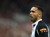 Callum Wilson earlier this season.
