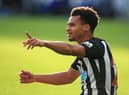 Jacob Murphy is being backed to land a contract at Newcastle United. (Photo by Lindsey Parnaby - Pool/Getty Images)
