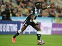 Allan Saint-Maximin has been included in Alan Shearer's Premier League Team of the Week. (Photo by Ian MacNicol/Getty Images).