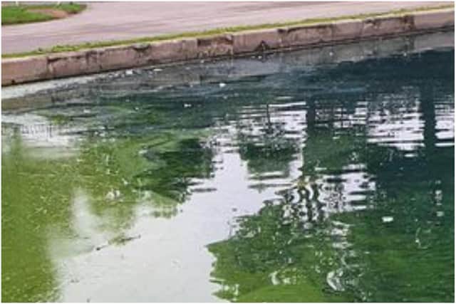 South Tyneside Council said they are working to restore the lake to its normal colour.