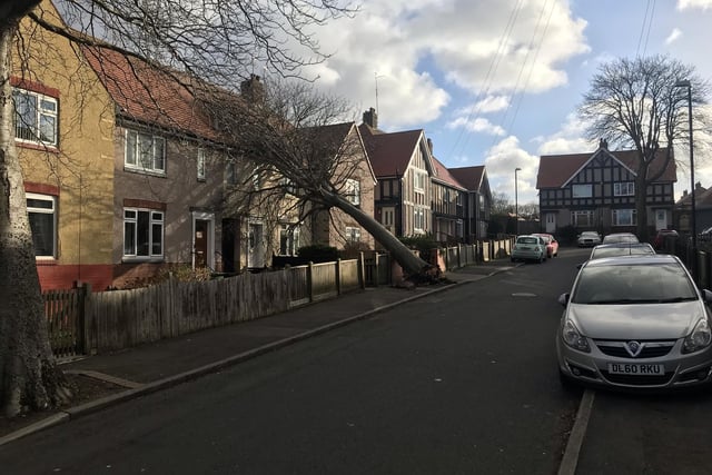 A tree collapsed into a house in Falmouth Square on Sunderland's Ford Estate.