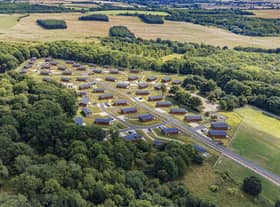 Rockingham Forest in Northamptonshire