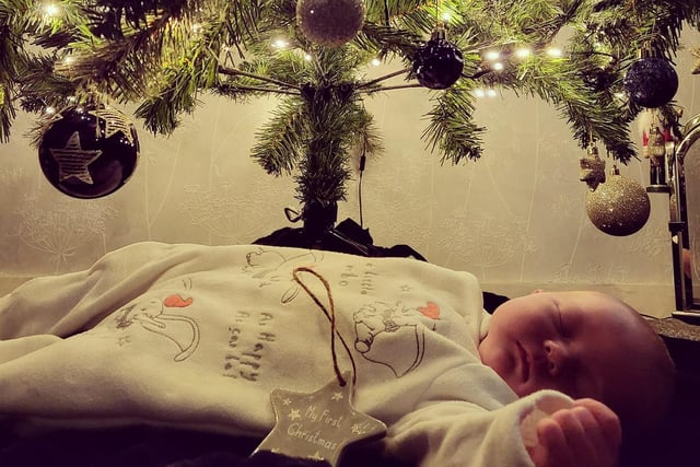 Poppy, age 5 weeks, arrived just in time for Santa.