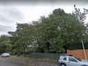Proposed site for new family homes off Western Terrace, in East Boldon