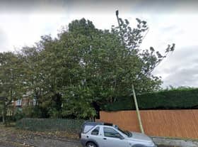 Proposed site for new family homes off Western Terrace, in East Boldon