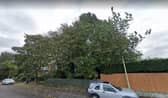 Proposed site for new family homes off Western Terrace, in East Boldon