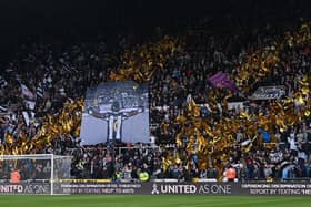 Fans of Newcastle United display flags in support of Allan Saint-Maximin prior to the match with Crystal Palace at St. James Park (Photo by Stu Forster/Getty Images)