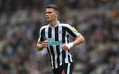 Sven Botman has enjoyed a brilliant debut season at St James' Park (Photo by Stu Forster/Getty Images)
