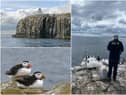 The annual puffin census returns to The Farne Islands off the Northumberland coast