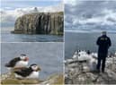 The annual puffin census returns to The Farne Islands off the Northumberland coast