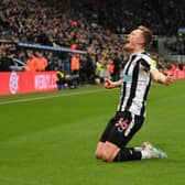 Sean Longstaff celebrates after scoring the first Newcastle goal during the Carabao Cup Semi Final 2nd Leg match between Newcastle United and Southampton at St James' Park on January 31, 2023 in Newcastle upon Tyne, England. (Photo by Stu Forster/Getty Images)