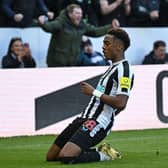 Newcastle United's English midfielder Joe Willock celebrates after scoring the opening goal of the English Premier League football match between Newcastle United and Manchester United at St James' Park in Newcastle-upon-Tyne, north east England on April 2, 2023. (Photo by Oli SCARFF / AFP)