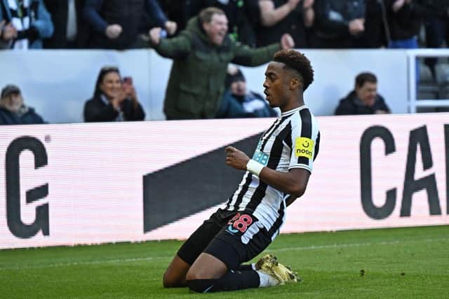 Newcastle United's English midfielder Joe Willock celebrates after scoring the opening goal of the English Premier League football match between Newcastle United and Manchester United at St James' Park in Newcastle-upon-Tyne, north east England on April 2, 2023. (Photo by Oli SCARFF / AFP)