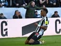 Newcastle United's English midfielder Joe Willock celebrates after scoring the opening goal of the English Premier League football match between Newcastle United and Manchester United at St James' Park in Newcastle-upon-Tyne, north east England on April 2, 2023. (Photo by Oli SCARFF / AFP)