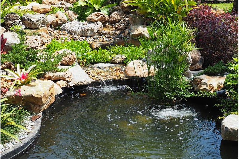 A well-designed pond can be a sanctuary for different plants, birds and animals, and it can look fantastic too. Depending on the size of the project, this can definitely be achieved with a bit of elbow grease.