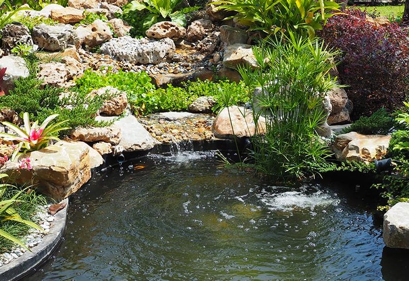 A well-designed pond can be a sanctuary for different plants, birds and animals, and it can look fantastic too. Depending on the size of the project, this can definitely be achieved with a bit of elbow grease.