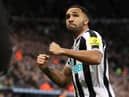 Callum Wilson could be available to face Liverpool on Saturday. (Photo by George Wood/Getty Images)