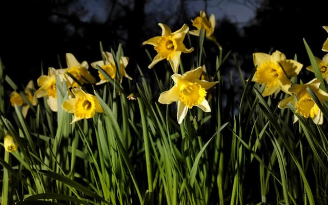 It will be an average day weather-wise in South Shields today.