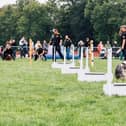 One of the activities at the 2021 North East Dog Festival. Picture by Ben Heward.