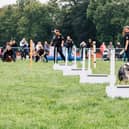 One of the activities at the 2021 North East Dog Festival. Picture by Ben Heward.