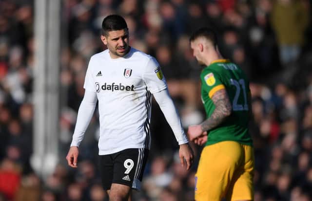 Aleksandar Mitrovic