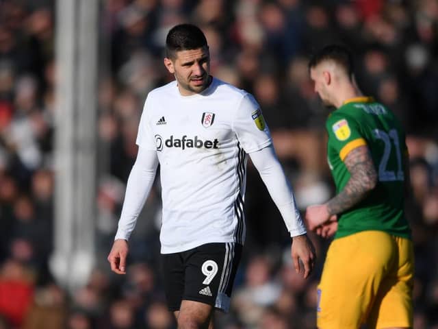 Aleksandar Mitrovic