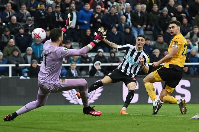 Miguel Almiron of Newcastle United scores the team's second goal during the Premier League match between Newcastle United and Wolverhampton Wanderers at St. James Park on March 12, 2023 in Newcastle upon Tyne, England. (Photo by Michael Regan/Getty Images)