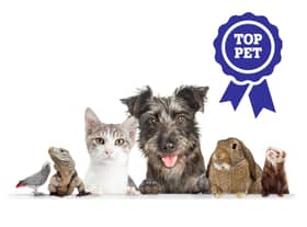 Is your pet a star? It's time to enter them into our Top Pet competition.
