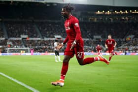 Sam Allardyce believes Newcastle United should move for Divock Origi (Photo by Clive Brunskill/Getty Images)