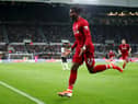 Sam Allardyce believes Newcastle United should move for Divock Origi (Photo by Clive Brunskill/Getty Images)